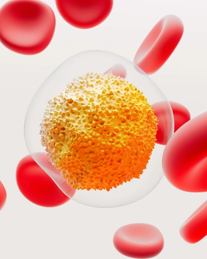 GSK w Polsce - Nasze obszary produktowe